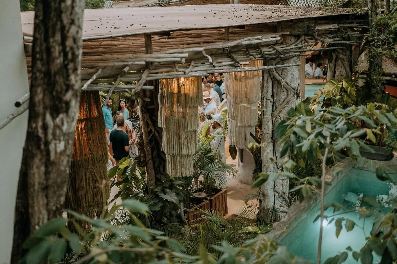 Orchid House Tulum Jungle Hotel