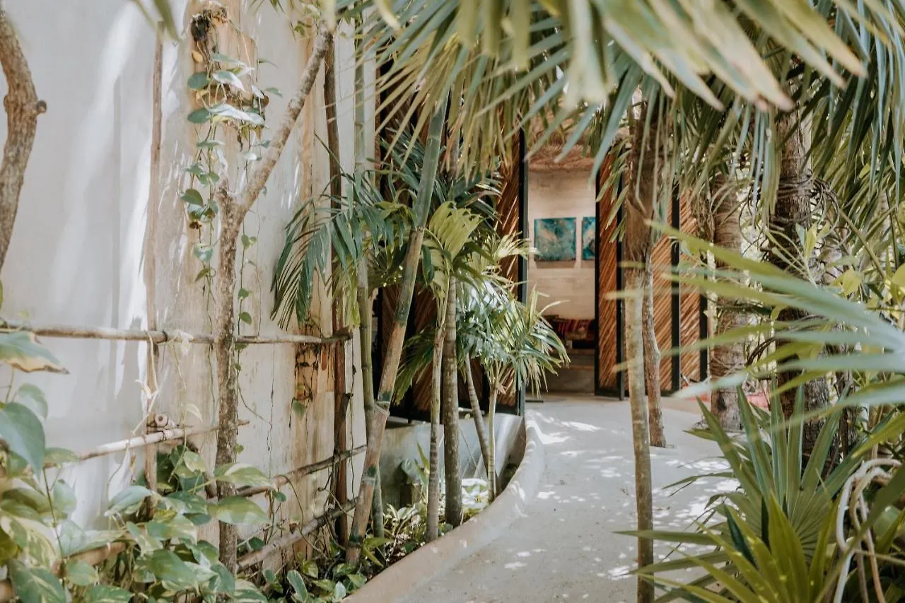 *****  Orchid House Tulum Jungle Hotel Mexikó