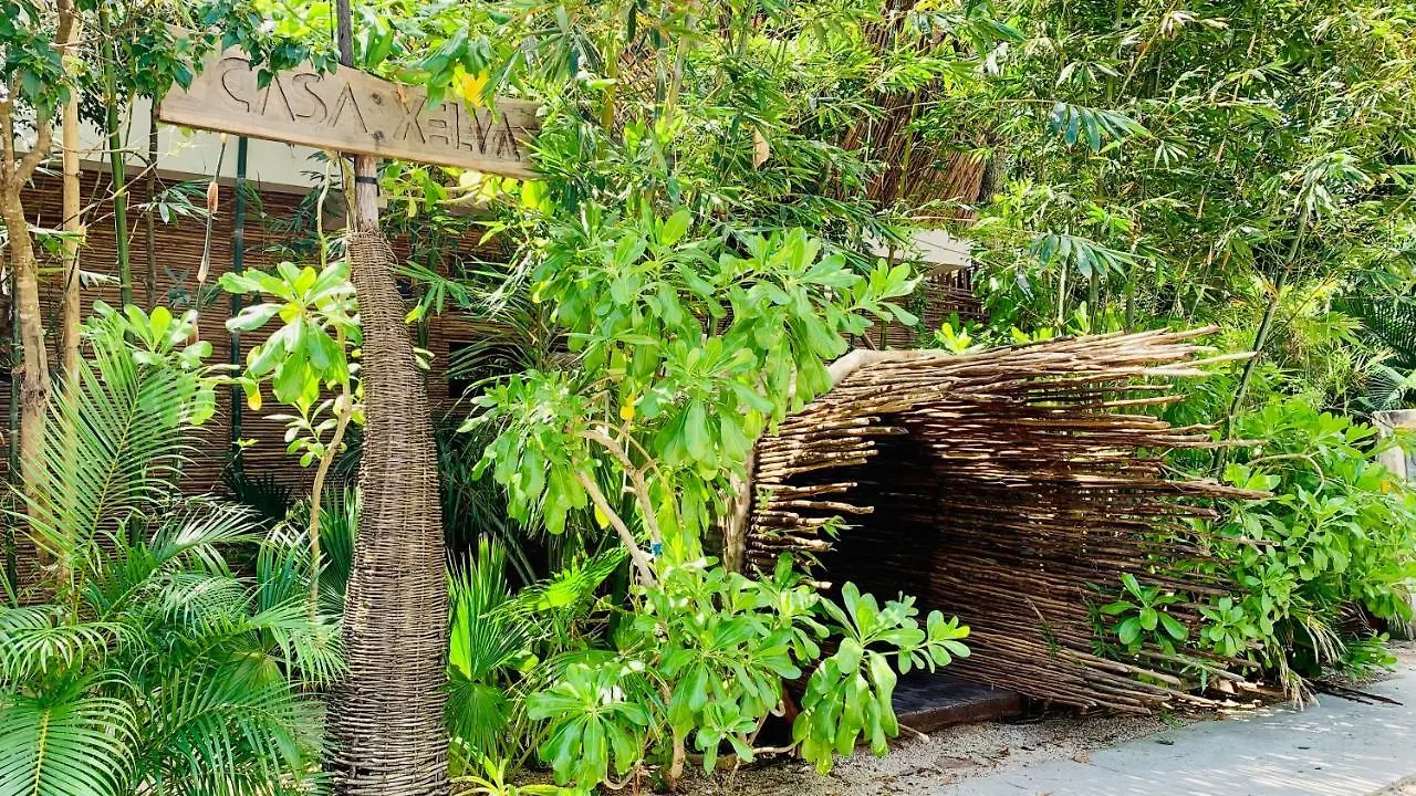 Orchid House Tulum Jungle Hotel