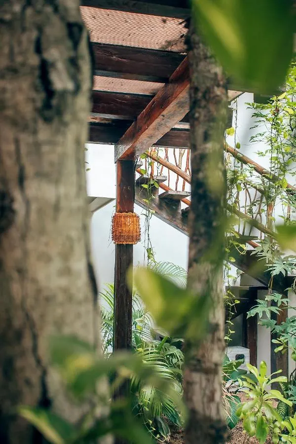 Orchid House Tulum Jungle Hotel 5*,