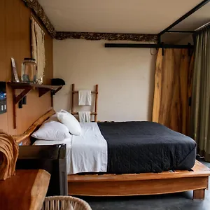 Bufo Alvarius Hotel Tulum
