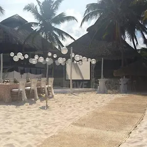 Akiin Beach Hotel Tulum