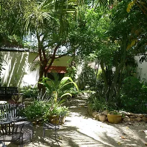 Decu Downtown Hotel Merida