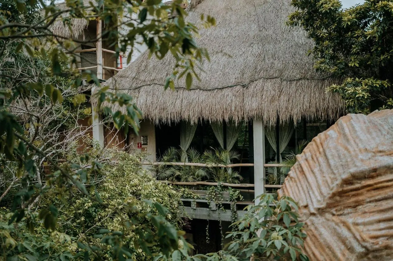 Orchid House Tulum Jungle Otel Meksika