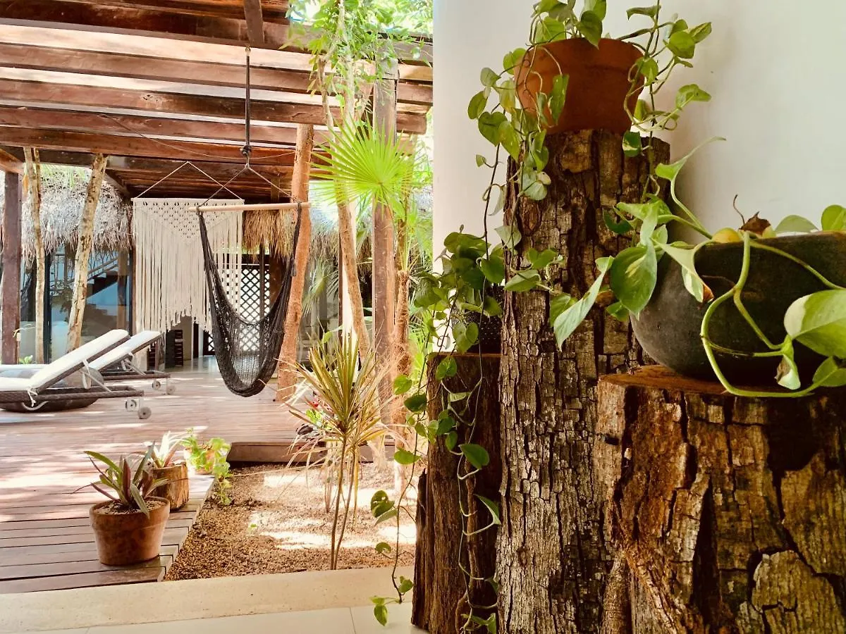 *****  Orchid House Tulum Jungle Otel Meksika