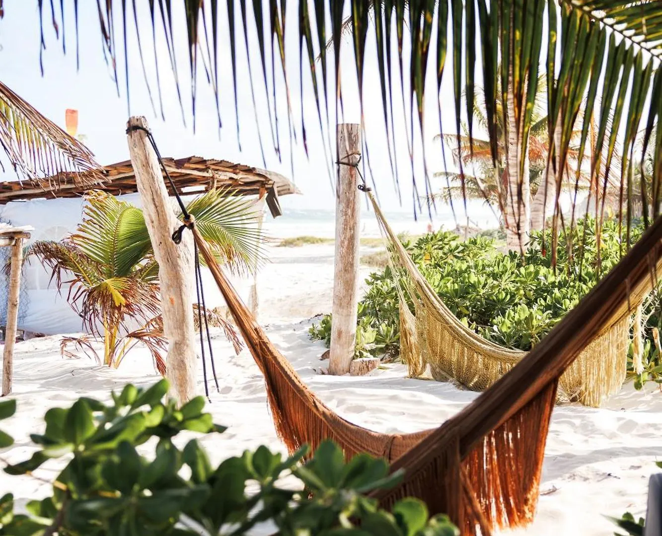 Orchid House Tulum Jungle Otel