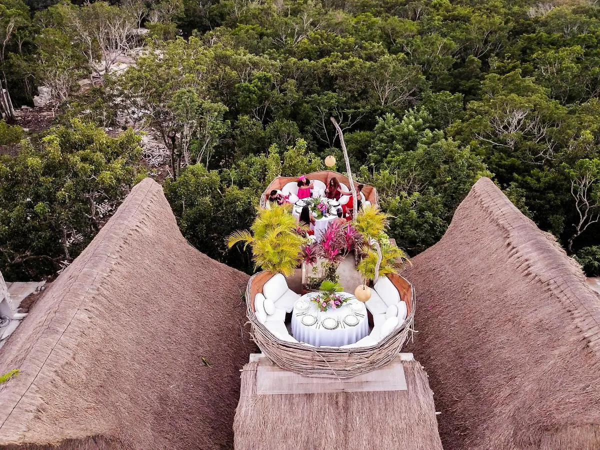 Orchid House Tulum Jungle Hotel