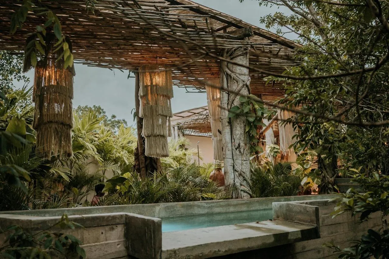 Orchid House Tulum Jungle Hotel