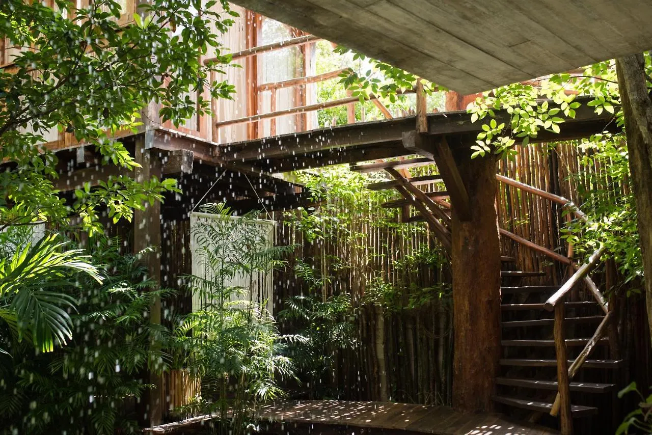 Orchid House Tulum Jungle Hotel