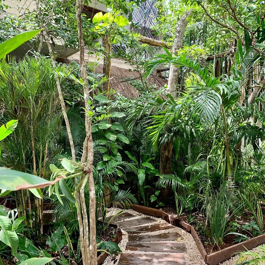 Orchid House Tulum Jungle Hotel