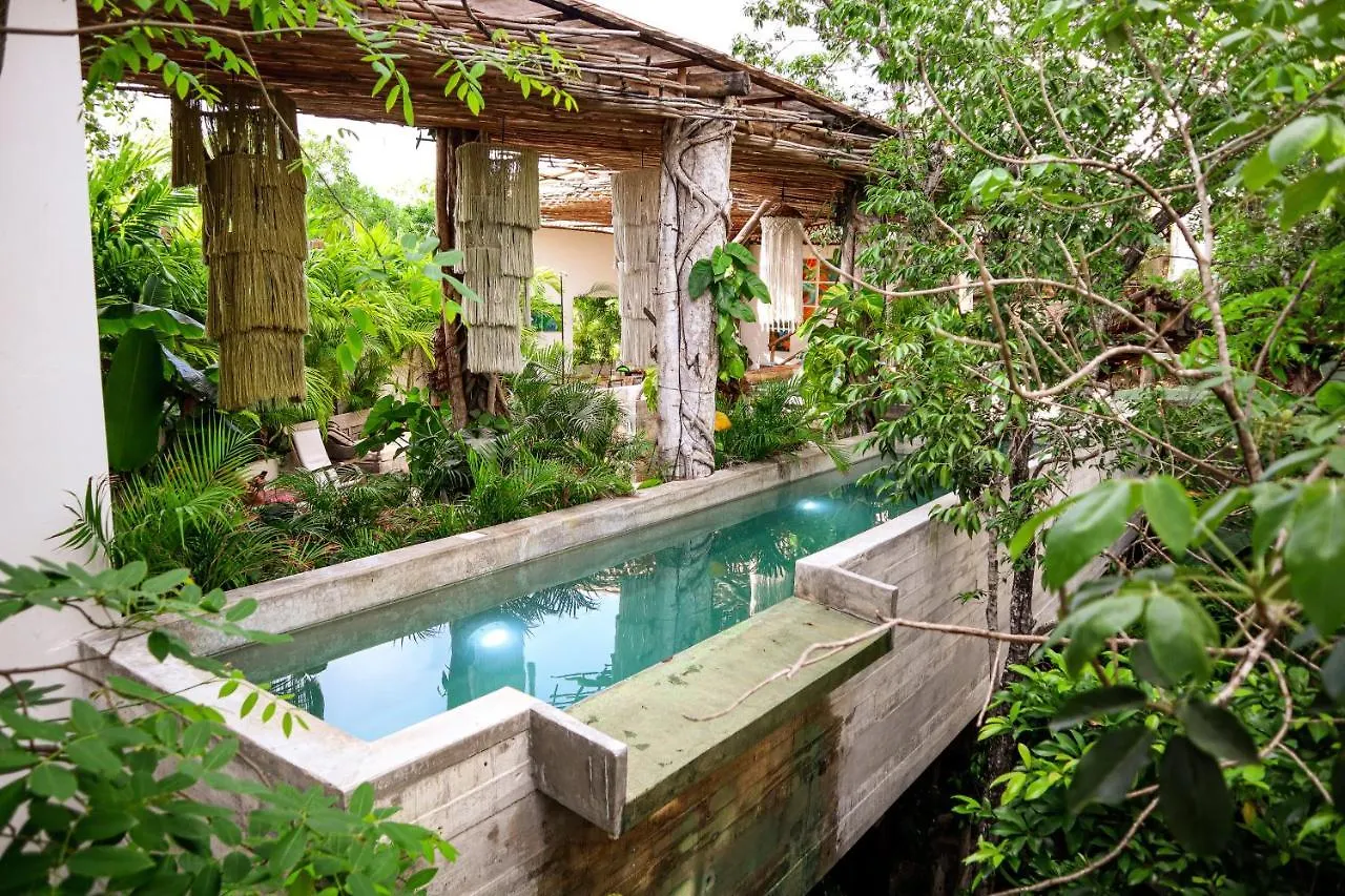 Orchid House Tulum Jungle Hotel 5*,
