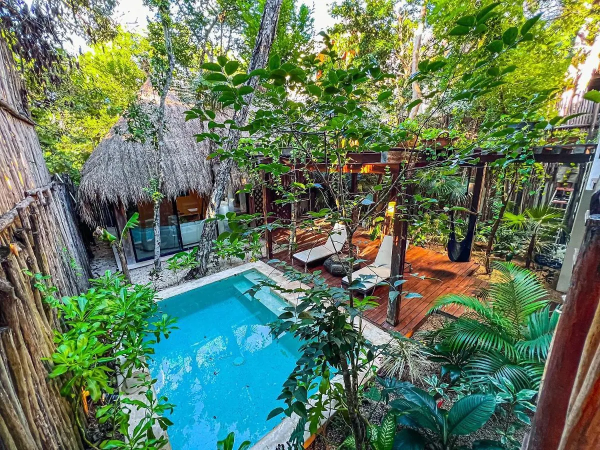 Orchid House Tulum Jungle Hotel