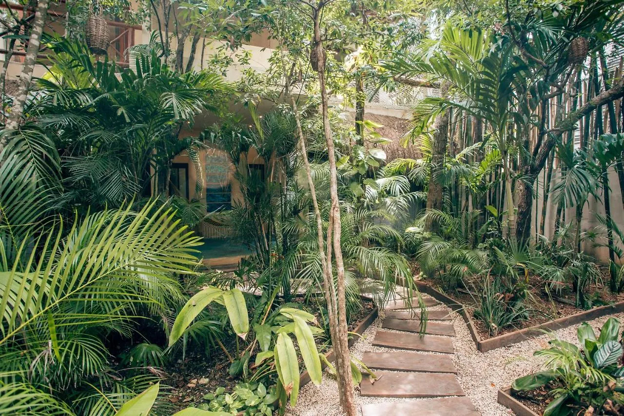 Orchid House Tulum Jungle Hotel