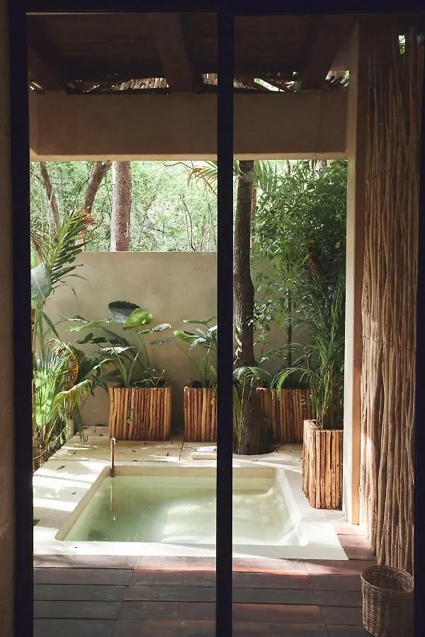 Orchid House Tulum Jungle Hotel