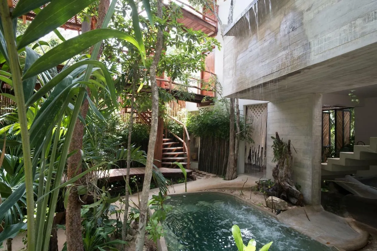 Orchid House Tulum Jungle Hotel